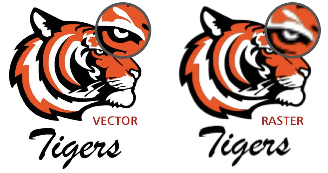 Raster VS Vector